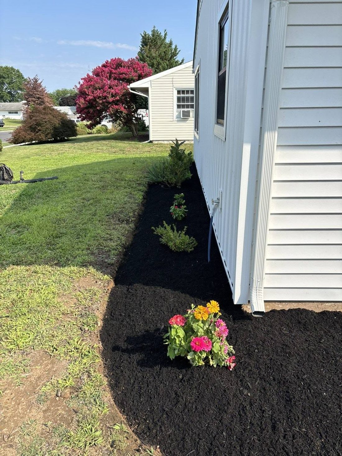 Curved mulch bed wrapping the corner of a home with zinnias in bloom