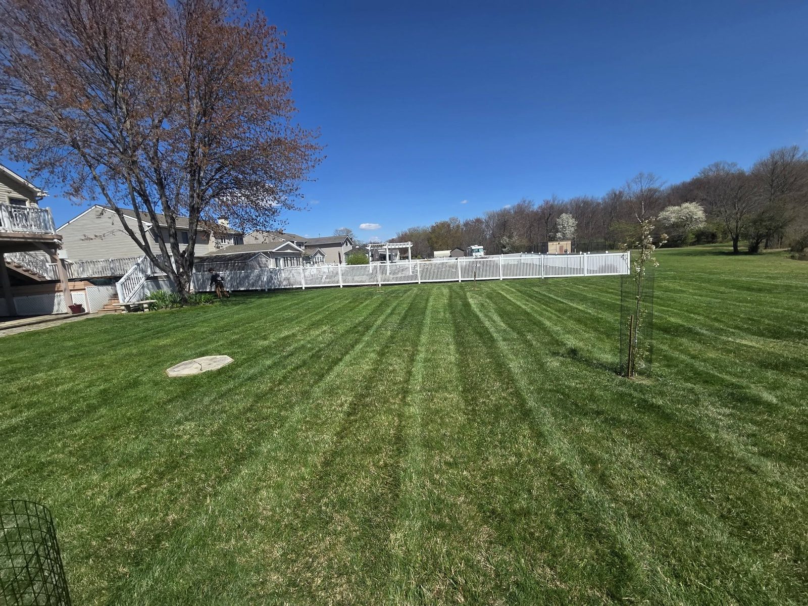 Wide backyard mowed in straight stripes along a white vinyl fence