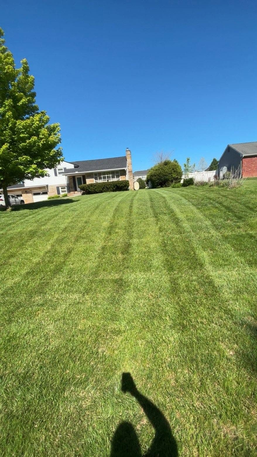 Sloped front lawn mowed in clean stripes on a clear day